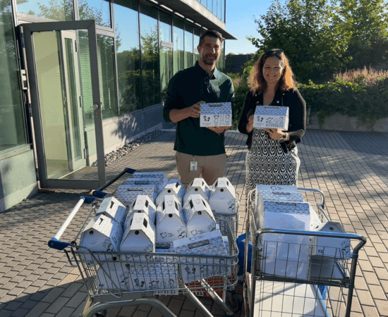 Návrh bez názvu (26).png